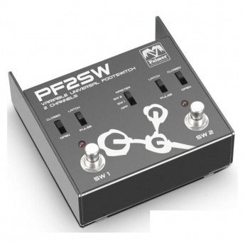 Контроллер и педаль PALMER F2 SW (PF2SW) 42725